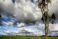 队报：巴黎对阵维拉的欧冠创下收视纪录，平均吸引了273万观众，巴黎足球欧冠