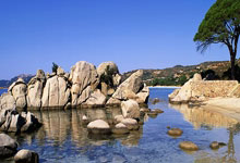 罗马诺：塞斯科将在周五完成体检和签约，周六在主场进行亮相仪式