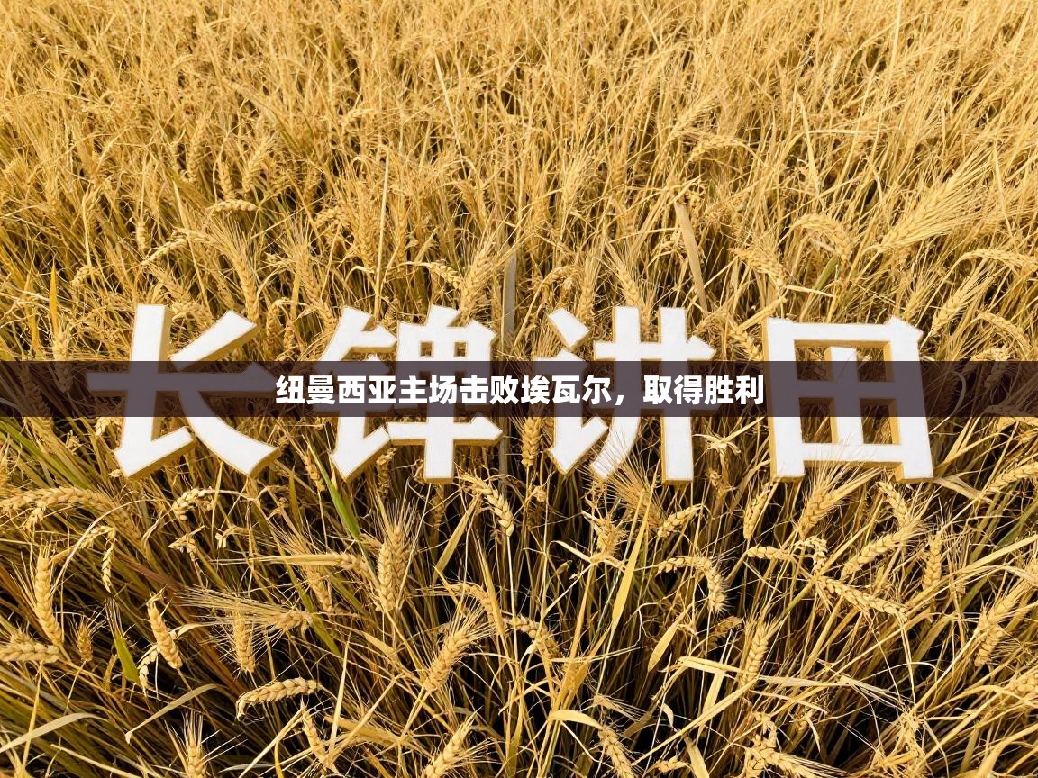 纽曼西亚主场击败埃瓦尔，取得胜利  第2张