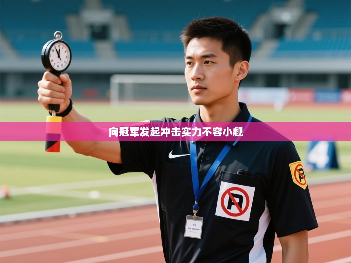 向冠军发起冲击实力不容小觑  第2张