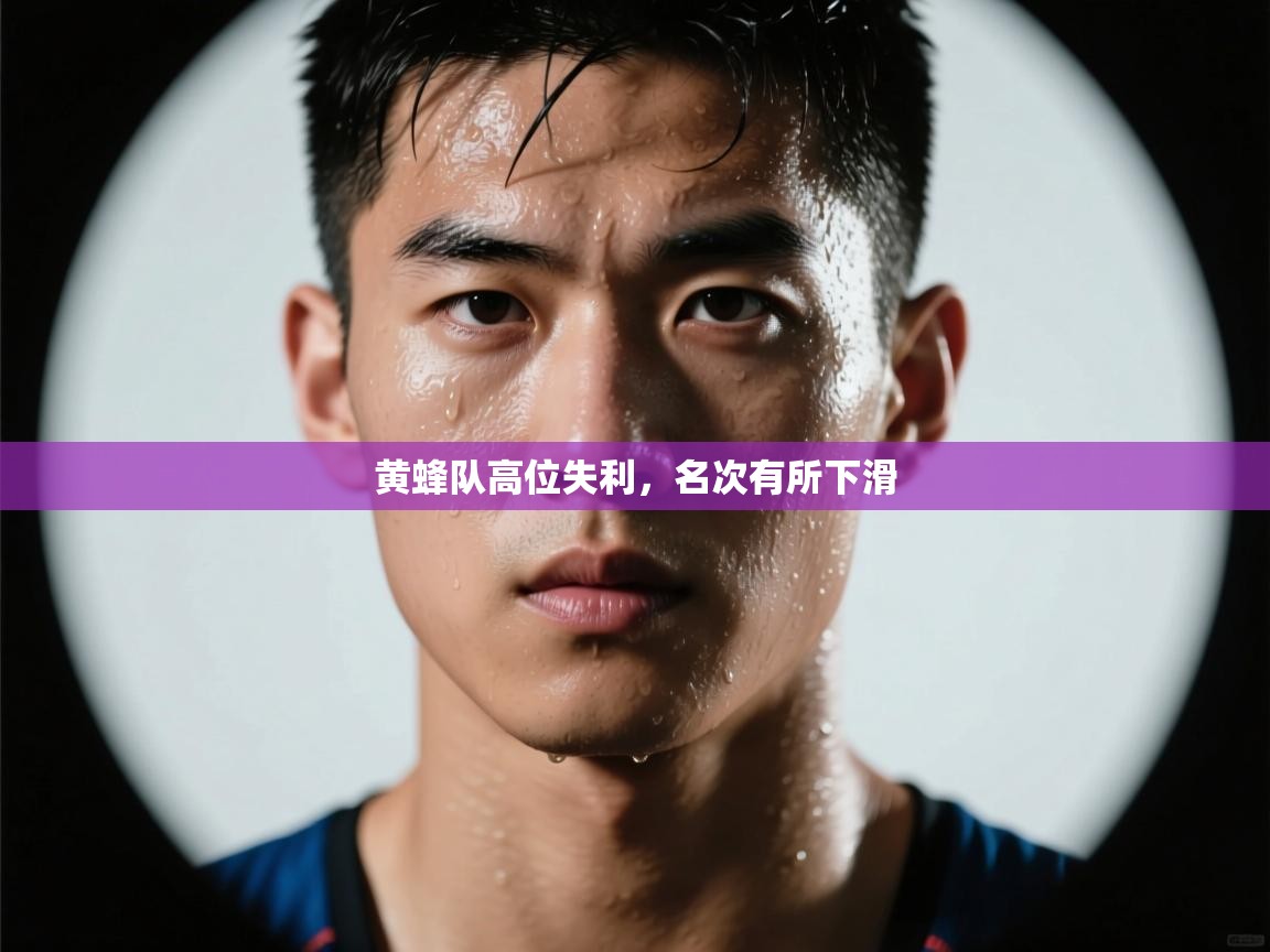 黄蜂队高位失利，名次有所下滑  第2张
